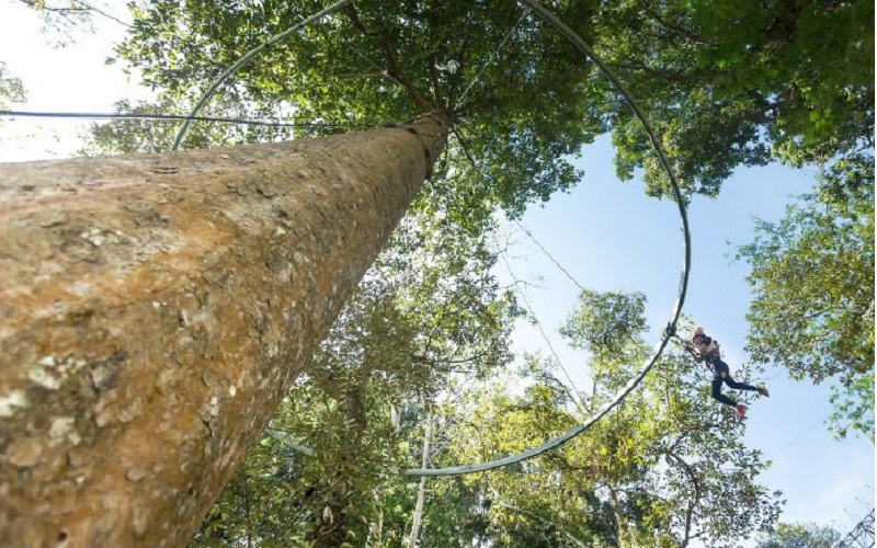 Hanuman World Phuket Zip line Tour 18 Platforms + Roller + Sky Walk